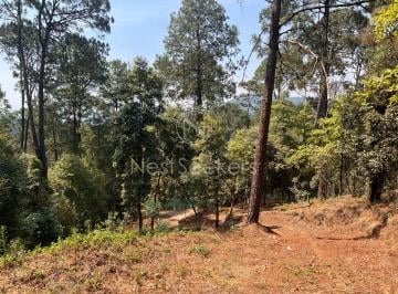 Terreno / Lote , Valle de Bravo · Terreno en Venta en Avándaro