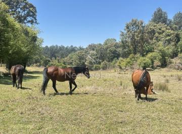 Terreno / Lote , Valle de Bravo · Rancho en Venta