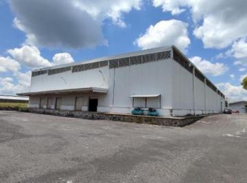 Local comercial · Local - Cuautla
