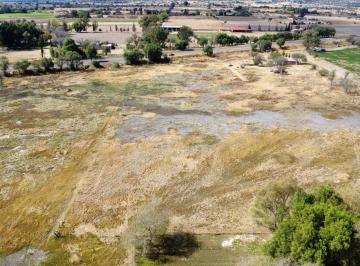 Terreno / Lote · Se Vende Terreno en Rincón de Romos