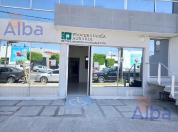 Oficina · 231m² · 4 Recámaras · Oficina o Local en Renta Quinta Av Planta Baja Casi Esquina Ecuador
