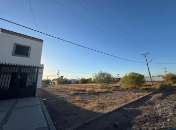 Terreno / Lote , Cajeme · Terreno en Venta Calle Nuevo Leon Entre Cananea y Norte Colonia Zona Norte Ciudad Obregon Sonora