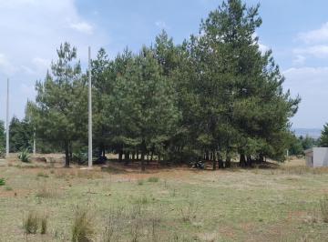 Rancho , Amealco de Bonfil · 2 Ha Escrituradas, Cercadas con Piedra y Malla, Luz, Agua y Pinos