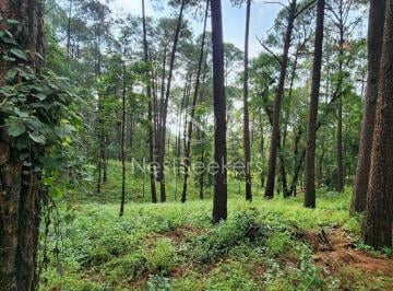 Terreno / Lote , Valle de Bravo · Terreno Para Desarollo en Avandaro a Pocos Minutos del Centro