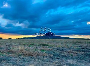 Rancho · 3500000m² · (Merv2618) Hectáreas de Siembra en Venta, Municipio de González, Tam. $40,000 Ha