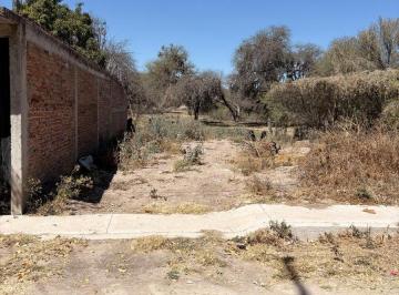 Terreno / Lote · 200m² · Terreno en Colonia Miguel Hidalgo