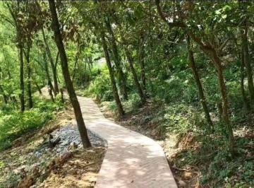 575186fac1794675c164eb24ecd78130a43743c049237223df70289b67cf5d08 · Terrenos Residenciales en Carretera Nacional Valle del Encino