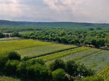 515d8b1aa07d9ff74b57b101c13009bf4198c9325ca8e75e6a7abc409c779269 · Venta de Terreno / Rancho en Montemorelos