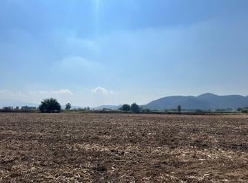 Terreno / Lote , Tlajomulco de Zúñiga · Terreno Ejidal De. Ha en Venta, Tlajomulco de Zuñiga