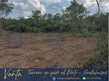 Terreno / Lote · 30000m² · Terreno en Venta, Ejido El Pinto - Hualahuises
