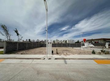 1 · Terreno en Venta Al Sur de Aguascalientes por Rancho Santa Mónica