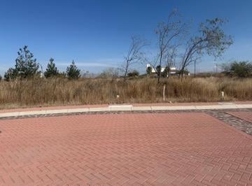Terreno / Lote · 112m² · Venta Terrenos Guanajuato Ciudad Maderas Sur 11 Camelinas