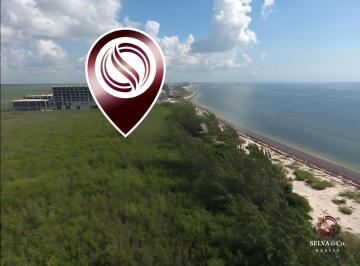 Terreno comercial , Benito Juárez · Hotel Land With 605 Meters Of Beachfront For Sale Puerto Morelos
