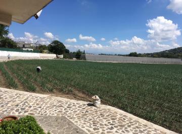 Terreno / Lote · 25538m² · Terreno en Venta en Yautepec, Para Desarrollo Residencial, de Uso Comercial o Siembra Atenporal.