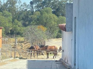 02982823bb0cb61dd3c812f3571825aa85d0478318cfe0660e0bcbee98b0011b · Rancho en Venta en Tepotzotlán Estado de México 2023 m² Para Restaurar Ideal Pro