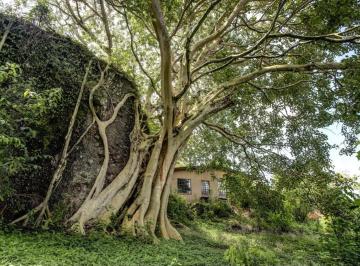 Casa de 4 habitaciones, Tepoztlán · Casa Luciérnaga