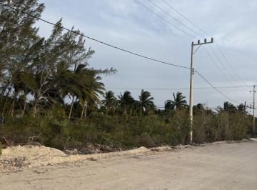 f7c71a5ab3826ddc95dc88c7cb140ed771dd5c0b37a9c3d3237bf3b0cbe0f423 · Venta de Terreno en Telchac, Yucatán
