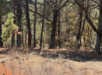 Terreno / Lote , Huasca de Ocampo · Venta de Terrenos Campestres