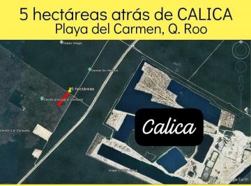 62349a1c814bf66077ebd4b726442285472c4794291966fecccf65f65498ff43 · Terreno de 5 Hectáreas en Playa del Carmen, Q. Roo. Rv - 001