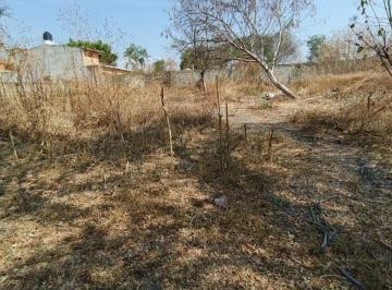 Terreno / Lote , Coatetelco · Se Vende Terreno en Xochicalco