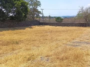 Terreno / Lote , Yautepec · Terreno de 600 m² en Colonia José Ortiz (Oaxtepec)
