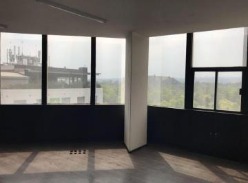 Oficina · 79m² · 1 Estacionamiento · Oficina en Renta Dante - (4)