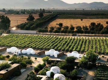 4e53dfba6c663b68f776ca700b9ffb2d7b2548d9225e9b5cae983ebf688c181a · Lotes Campestres Exclusivos en El Corazón del Valle de Guadalupe