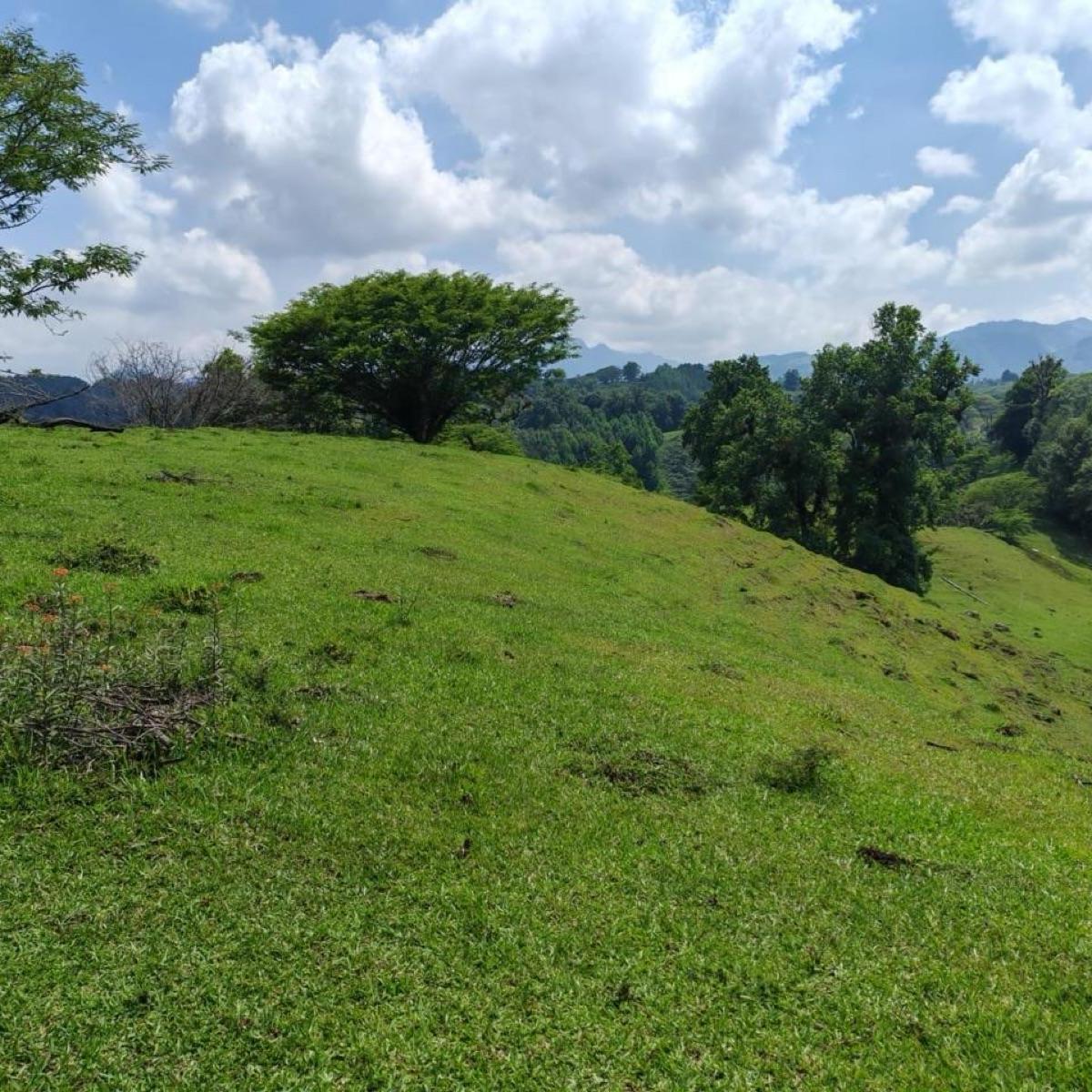 Terreno - Coatepec