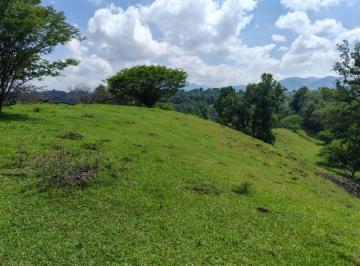 Terreno / Lote · 94000m² · Terreno - Coatepec