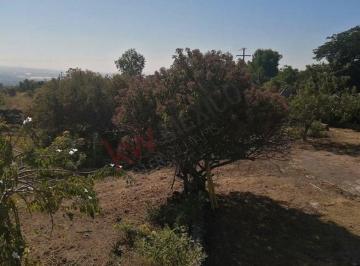 Terreno / Lote , Tlayacapan · Venta de Terreno en Tlayacapan – Gran Oportunidad de Inversión