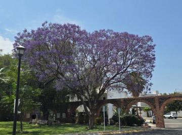 Terreno / Lote , Corregidora · Terreno en Residencial en Corregidora, Hacienda Real Tejeda en Precio de Oportunidad