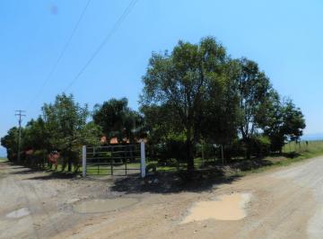 Rancho de 2 habitaciones, Tala · Oportunidad de Inversión: Rancho Ganadero 100% Equipado en Cuisillos, Jalisco