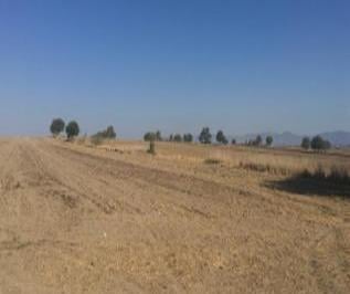 Terreno / Lote · 80000m² · Terreno - San José Chiapa