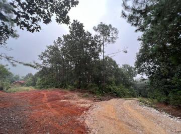 Terreno / Lote , San Cristóbal de las Casas · Terreno en Venta, Cerca de La Autopista Tuxtla a San Cristóbal.