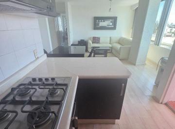 Departamento de 1 habitación, Guadalajara · Depto #502