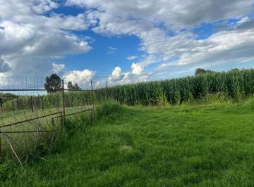 Huerta , Durango · Huerta con 40000 m² Superficie de Terreno en Venta, Praxedis G Guerrero, Dgo