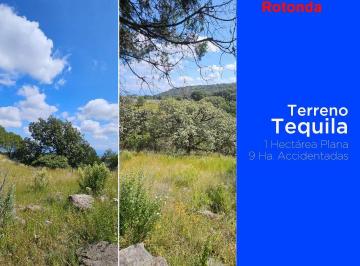 Terreno / Lote · 100157m² · Venta Terreno Tequila - (4)