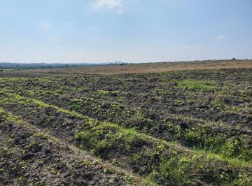 Terreno / Lote · 1000000ha · Terreno en Pánuco