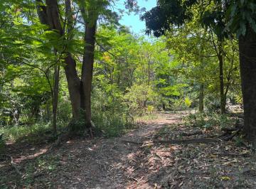 Interior del terreno · Terreno en Yautepec 6,693 m² | $750/m² | Precio Negociable