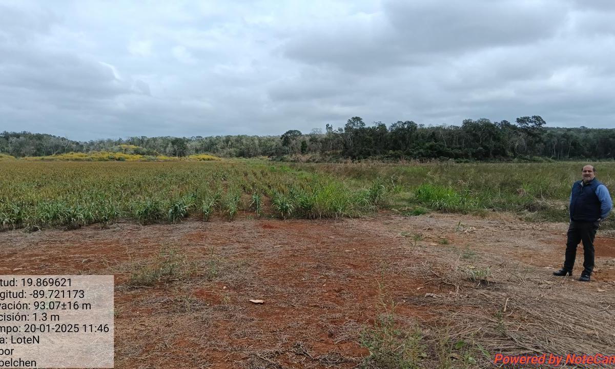 Attention Investors and Producers! High-Productivity Land