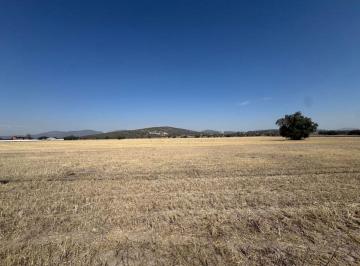 Terreno / Lote , Zapotlán de Juárez · 8 Hectáreas Estratégicas Sobre Carr. México - Pachuca | Terreno Plano