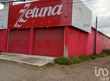Local comercial · 480m² · 1 Recámara · 2 Estacionamientos · Local en Renta San Cristóbal Tepatlaxco Municipio de San Martin Texmelucan Puebla