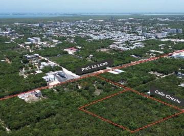 Terreno / Lote · 10000m² · Terreno en Venta en Cancún | Entre Prolongación La Luna y Ciricote con Uso de Suelo Mb