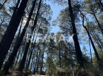 Terreno / Lote · 5000m² · Terreno en Venta - (4)
