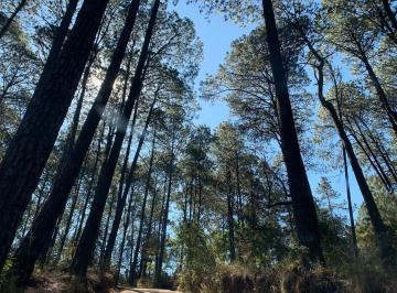 Terreno / Lote · 5000m² · Terreno en Venta - (4)