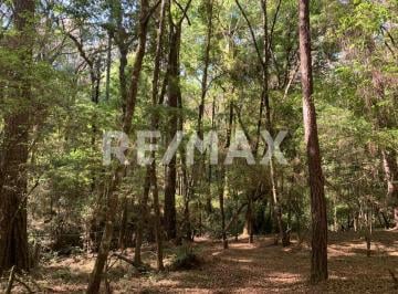Terreno / Lote · 5000m² · Terreno en Venta - (4)