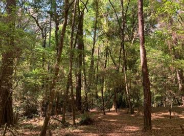 Terreno / Lote · 5000m² · Terreno en Venta - (4)