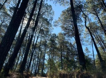 Terreno / Lote · 5000m² · Terreno en Venta - (4)