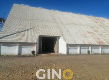 Bodega comercial · 38020m² · Bodega Industrial en Venta en Culiacán