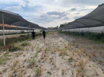 Terreno / Lote , El Salto · Se Renta Terreno Cerca del Aeropuerto Gdl